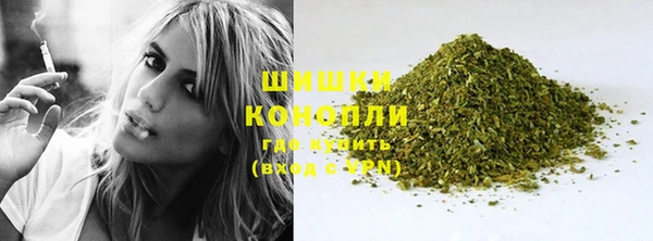 индика Медвежьегорск
