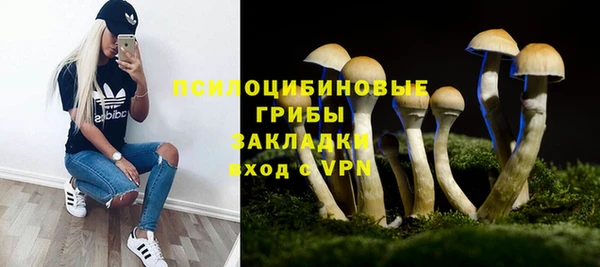 индика Медвежьегорск