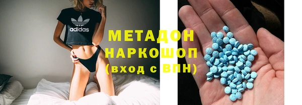 индика Медвежьегорск