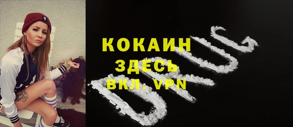 индика Медвежьегорск