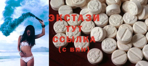 индика Медвежьегорск