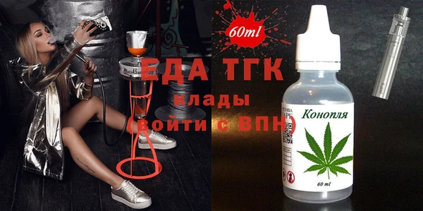 индика Медвежьегорск