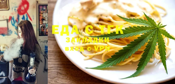 индика Медвежьегорск