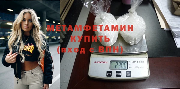 индика Медвежьегорск