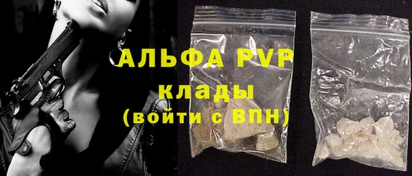 индика Медвежьегорск