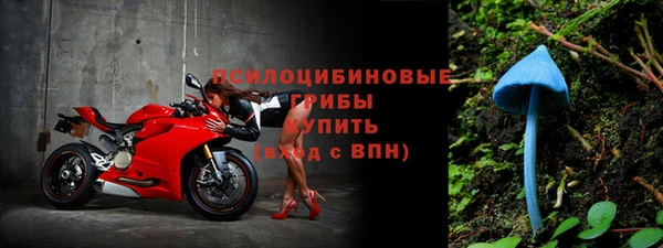 spice Мегион