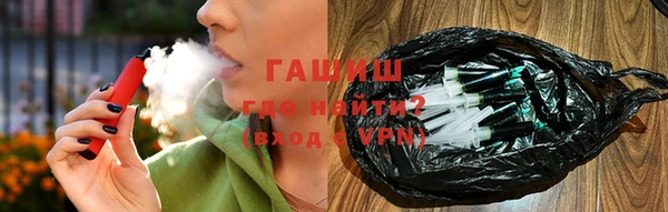 индика Медвежьегорск