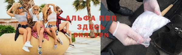 индика Медвежьегорск