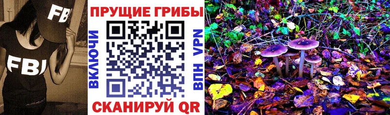 хочу наркоту  Гуково  Галлюциногенные грибы ЛСД 