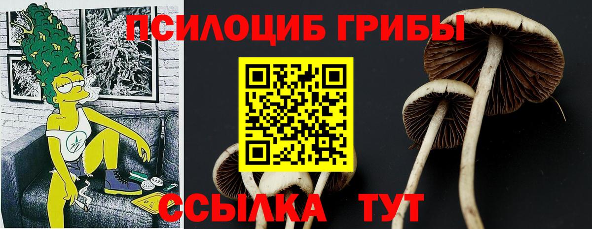 Галлюциногенные грибы Cubensis Гуково